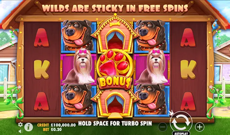 The Dog House Gameplay Not On Gamstop